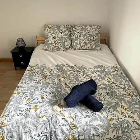 Duplex Moderne Proche De Toutes Commodites * ボルドー